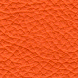 1167-mandarin-orange.jpg